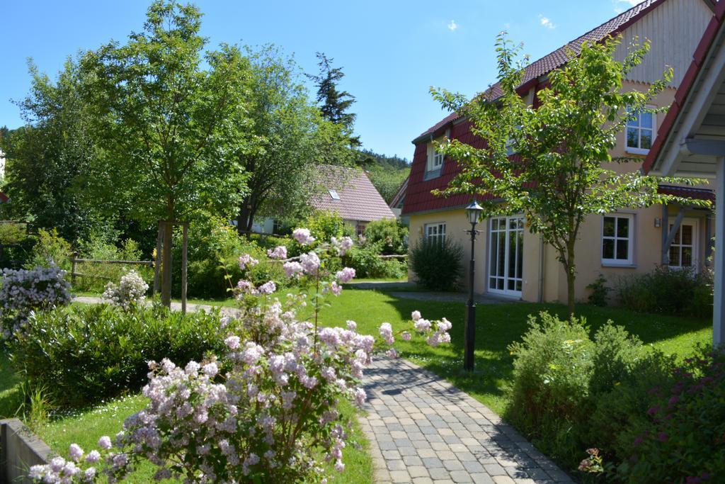 Vakantiepark Hasseroeder 3*